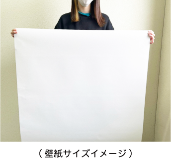壁紙サイズイメージ