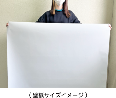 壁紙サイズイメージ